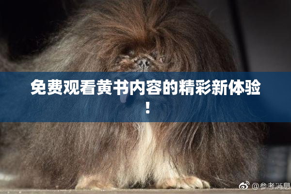 免费观看黄书内容的精彩新体验！