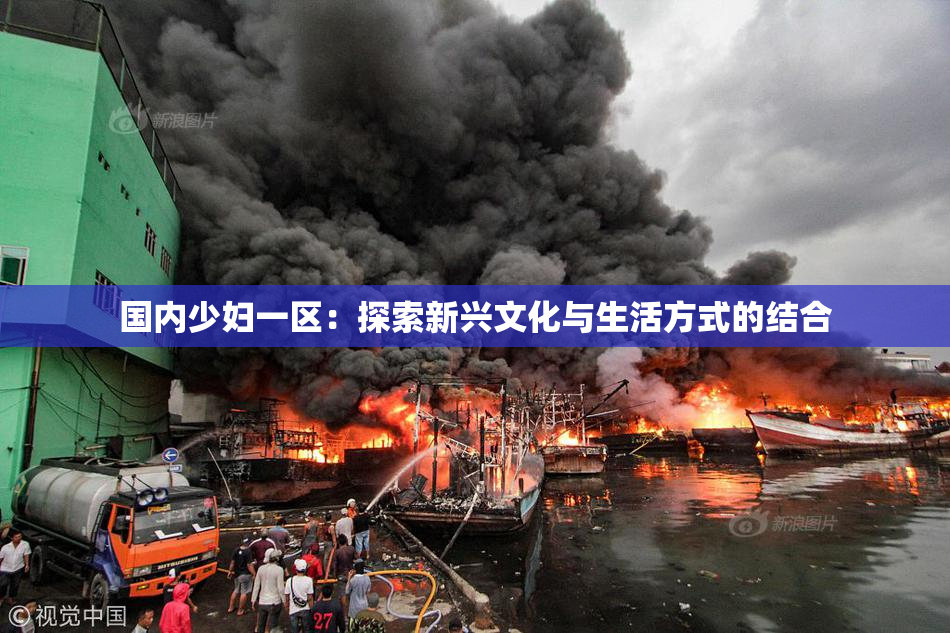 国内少妇一区：探索新兴文化与生活方式的结合