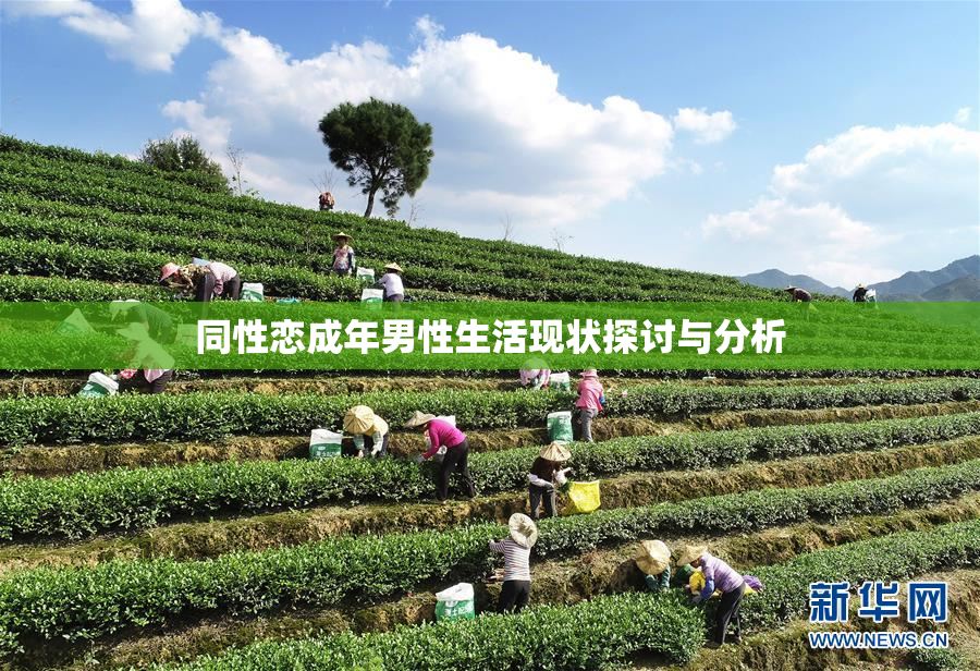 同性恋成年男性生活现状探讨与分析