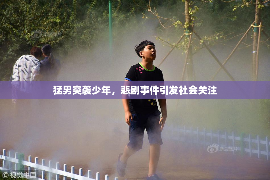 猛男突袭少年，悲剧事件引发社会关注