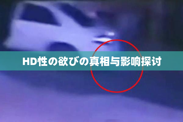 HD性の欲びの真相与影响探讨