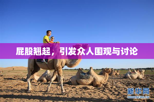 屁股翘起，引发众人围观与讨论