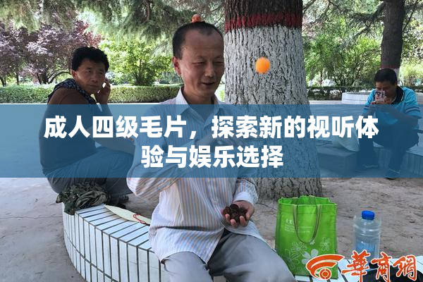成人四级毛片，探索新的视听体验与娱乐选择