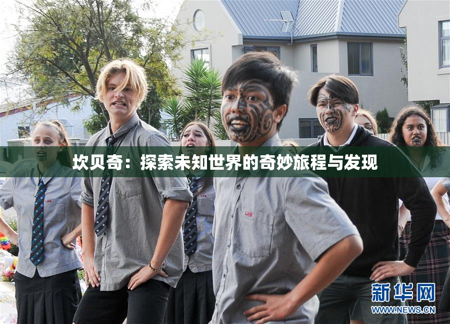 坎贝奇：探索未知世界的奇妙旅程与发现