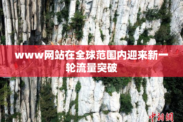 www网站在全球范围内迎来新一轮流量突破