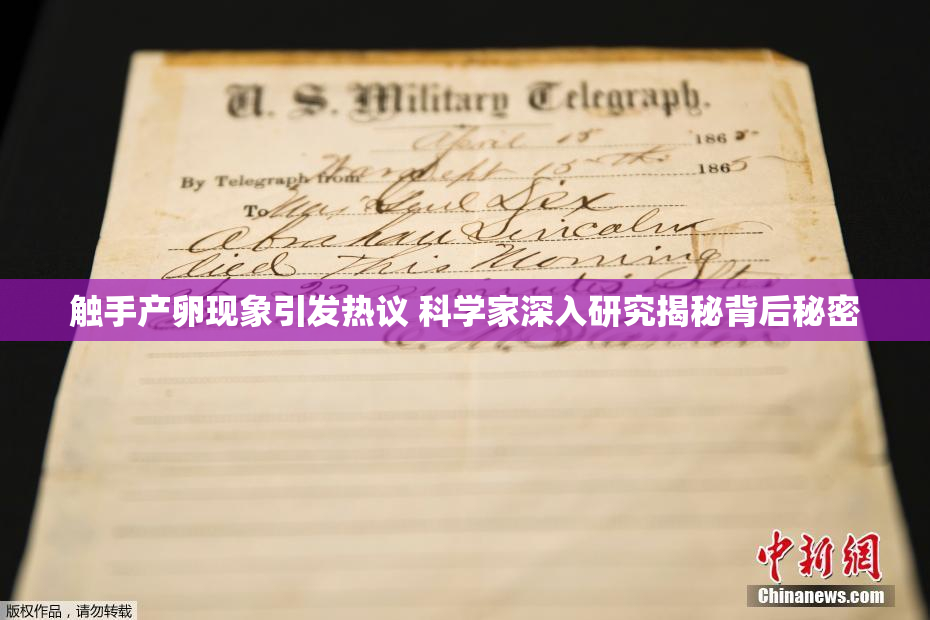 触手产卵现象引发热议 科学家深入研究揭秘背后秘密