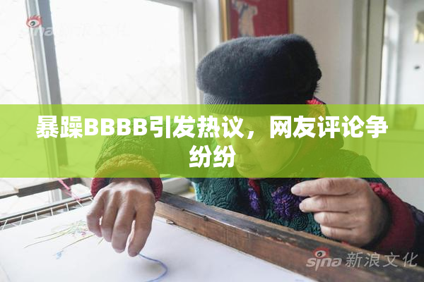 暴躁BBBB引发热议，网友评论争纷纷