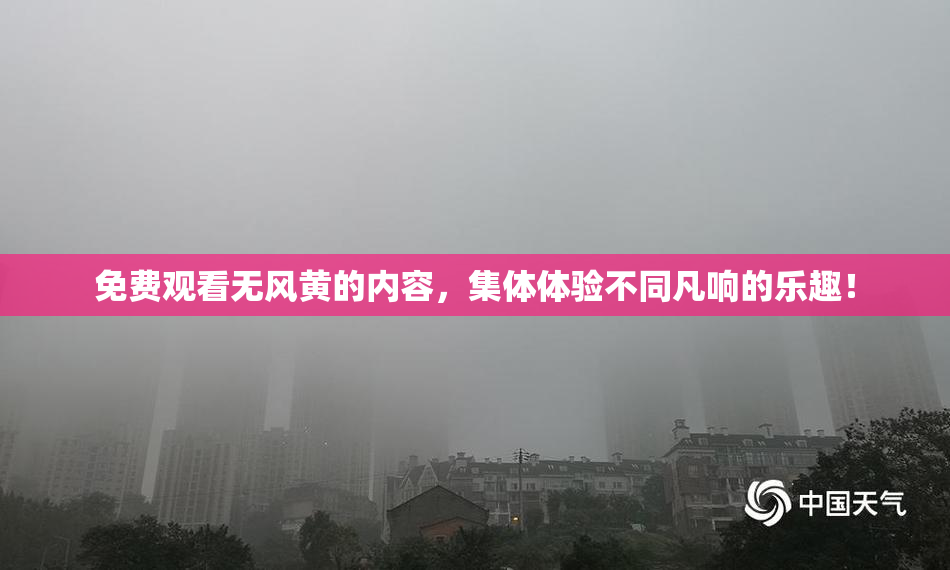 免费观看无风黄的内容，集体体验不同凡响的乐趣！