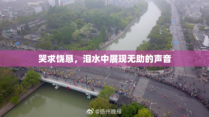 哭求饶恳，泪水中展现无助的声音