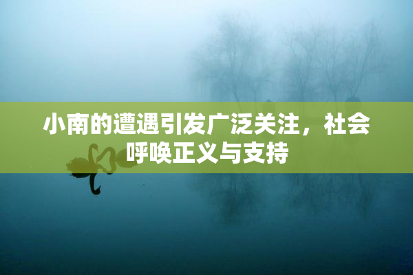 小南的遭遇引发广泛关注，社会呼唤正义与支持
