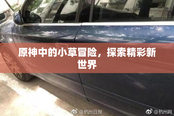 原神中的小草冒险，探索精彩新世界