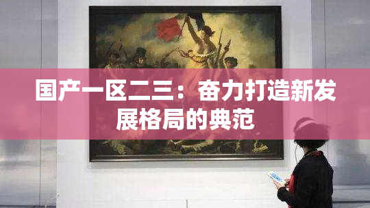 国产一区二三：奋力打造新发展格局的典范