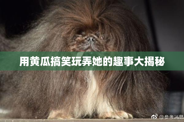 用黄瓜搞笑玩弄她的趣事大揭秘