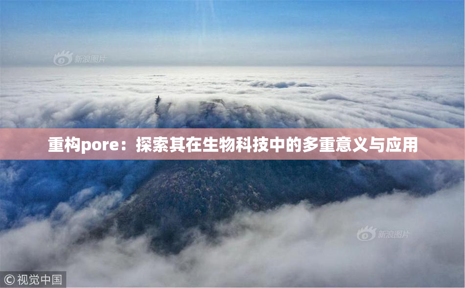 重构pore：探索其在生物科技中的多重意义与应用