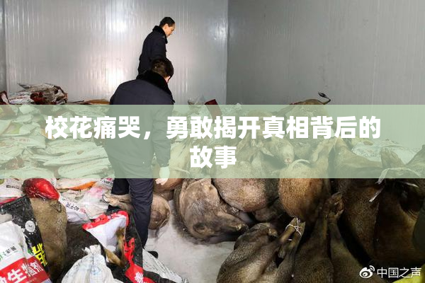 校花痛哭，勇敢揭开真相背后的故事