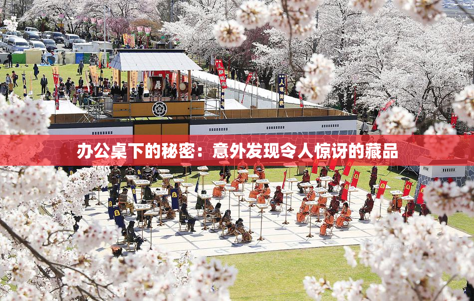 办公桌下的秘密：意外发现令人惊讶的藏品