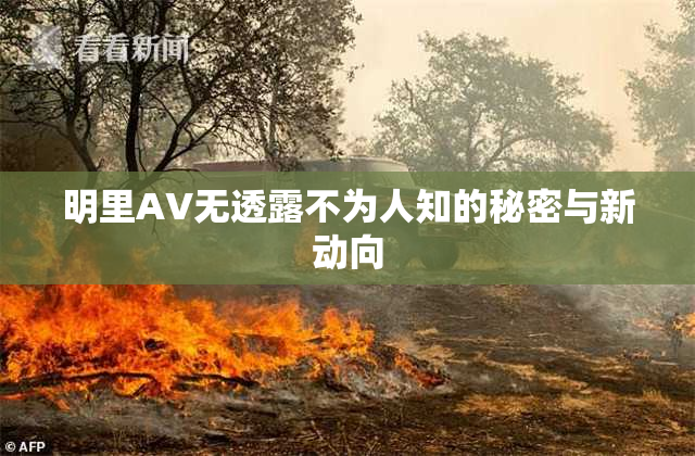 明里AV无透露不为人知的秘密与新动向