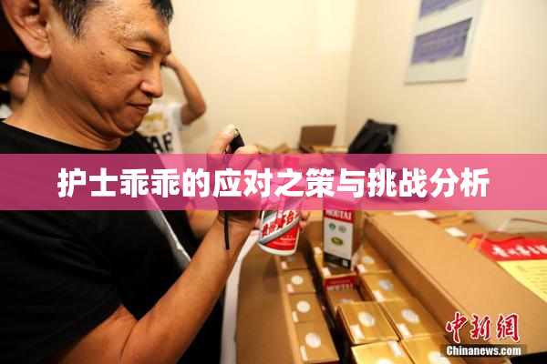 护士乖乖的应对之策与挑战分析