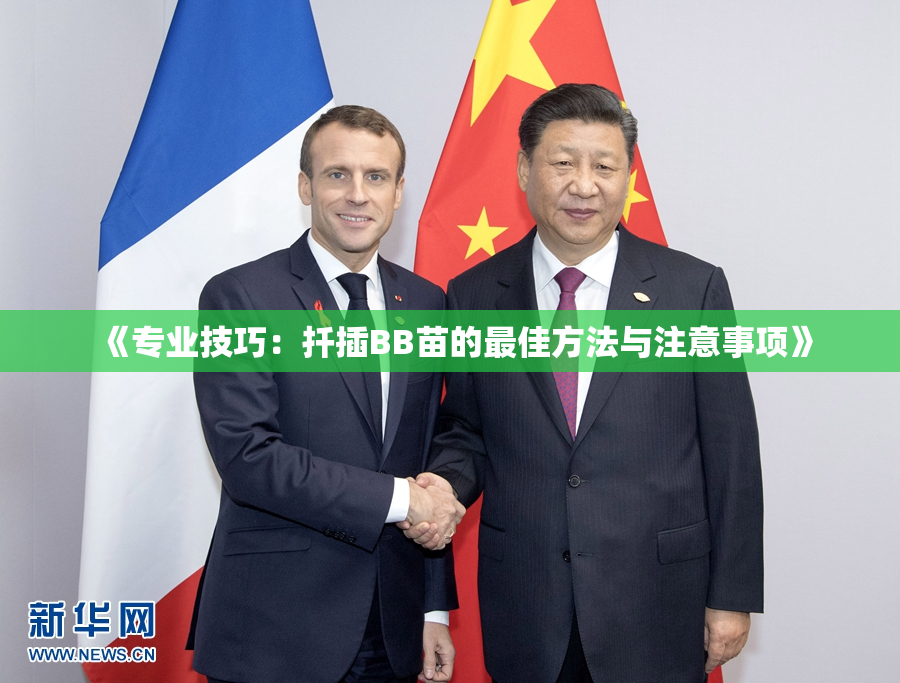 《专业技巧：扦插BB苗的最佳方法与注意事项》