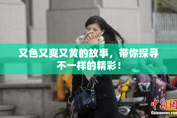 又色又爽又黄的故事，带你探寻不一样的精彩！