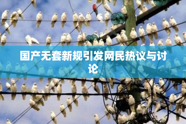 国产无套新规引发网民热议与讨论