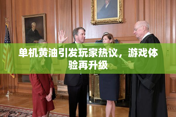 单机黄油引发玩家热议，游戏体验再升级