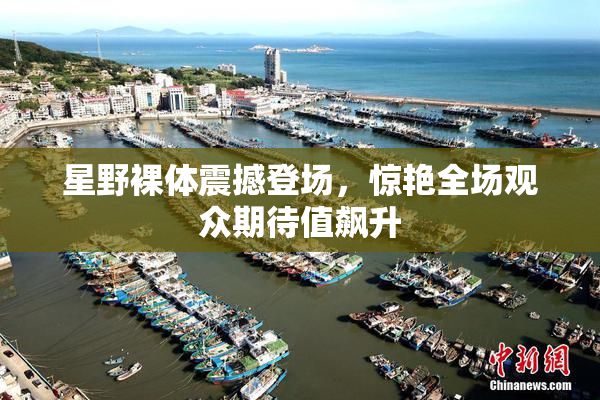 星野裸体震撼登场，惊艳全场观众期待值飙升