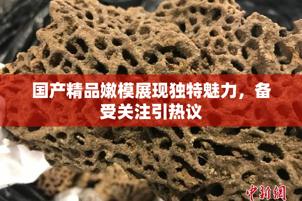 国产精品嫩模展现独特魅力，备受关注引热议