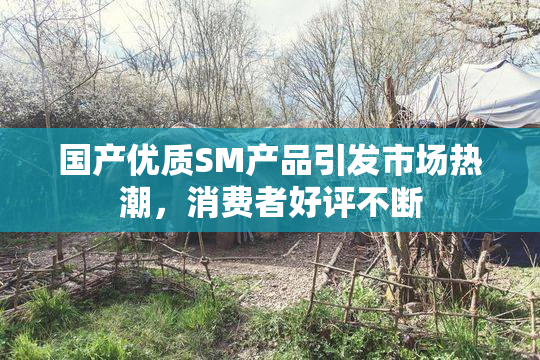 国产优质SM产品引发市场热潮，消费者好评不断