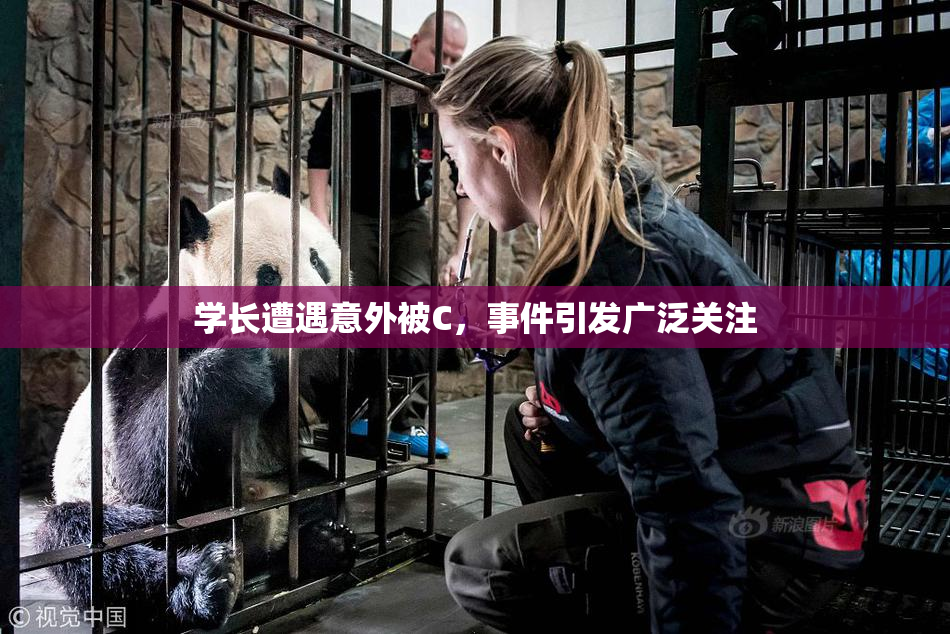 学长遭遇意外被C，事件引发广泛关注