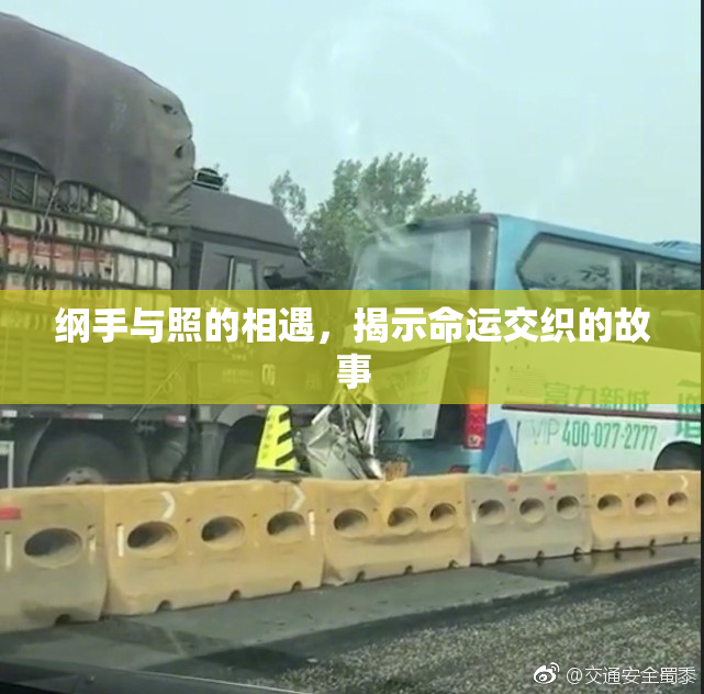 纲手与照的相遇，揭示命运交织的故事