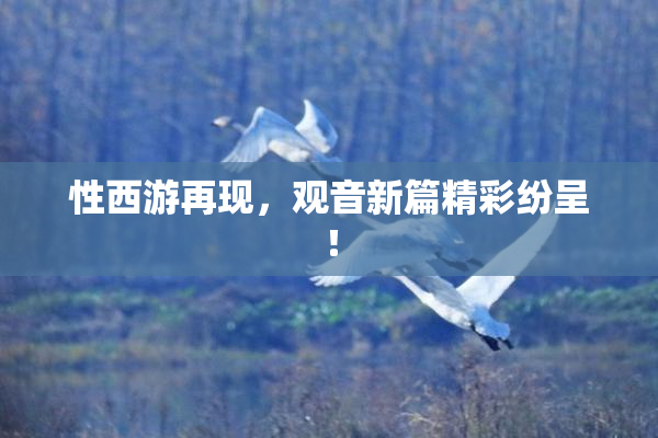 性西游再现，观音新篇精彩纷呈！
