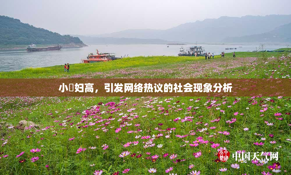 小婬妇高，引发网络热议的社会现象分析