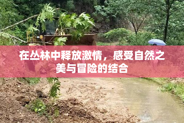 在丛林中释放激情，感受自然之美与冒险的结合