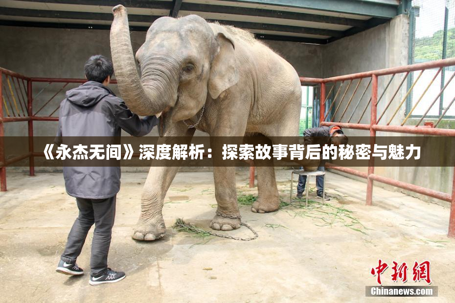 《永杰无间》深度解析：探索故事背后的秘密与魅力