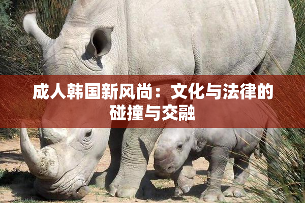 成人韩国新风尚：文化与法律的碰撞与交融