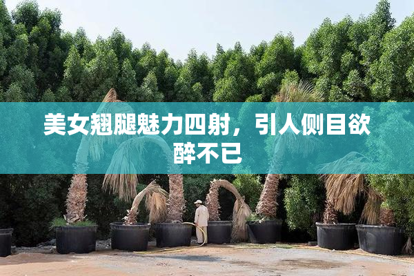 美女翘腿魅力四射，引人侧目欲醉不已