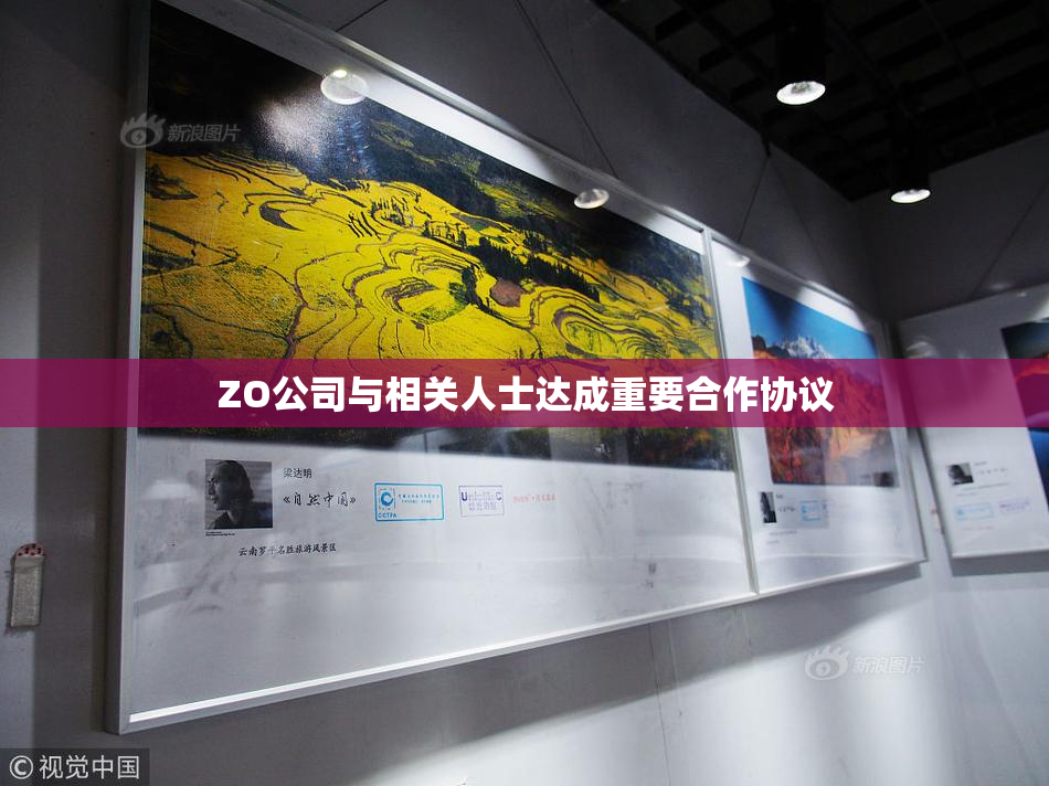 ZO公司与相关人士达成重要合作协议