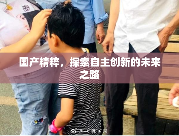 国产精粹，探索自主创新的未来之路