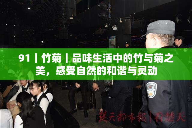 91丨竹菊丨品味生活中的竹与菊之美，感受自然的和谐与灵动