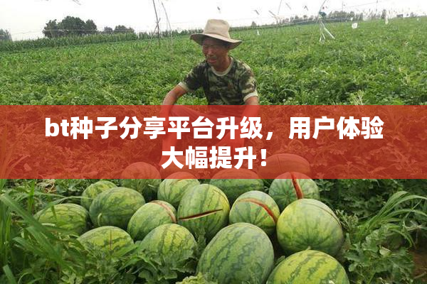 bt种子分享平台升级，用户体验大幅提升！