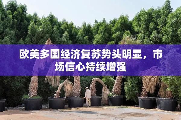 欧美多国经济复苏势头明显，市场信心持续增强