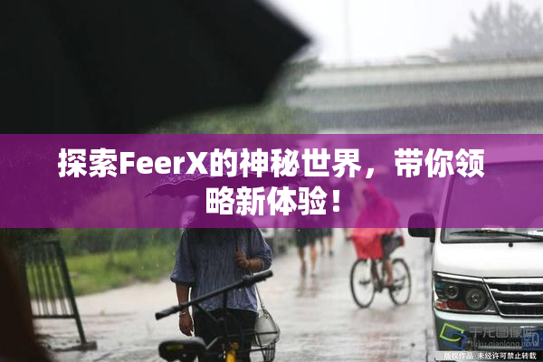 探索FeerX的神秘世界，带你领略新体验！