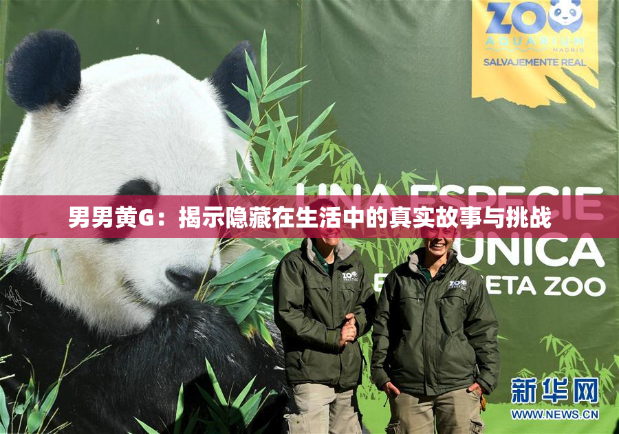 男男黄G：揭示隐藏在生活中的真实故事与挑战
