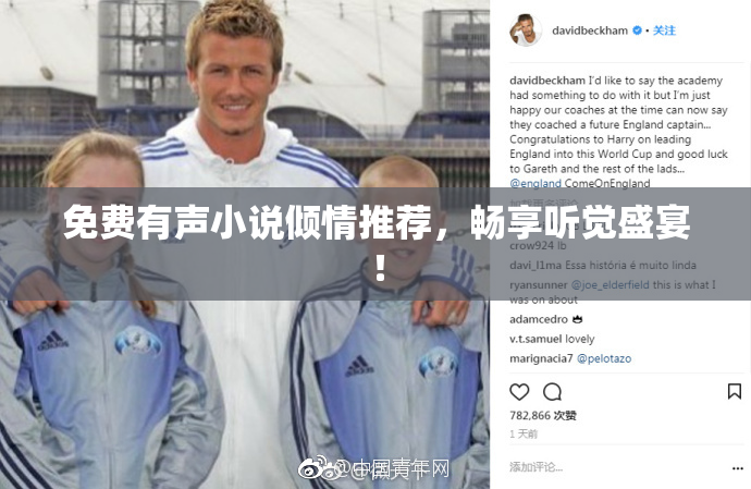 免费有声小说倾情推荐，畅享听觉盛宴！