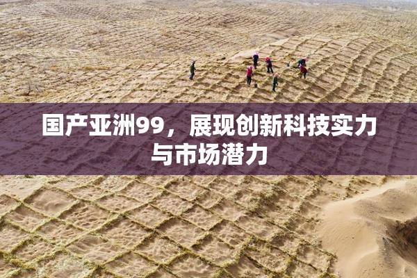 国产亚洲99，展现创新科技实力与市场潜力