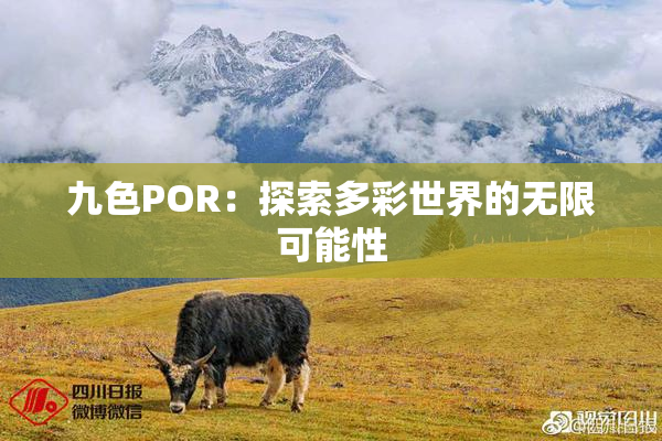 九色POR：探索多彩世界的无限可能性