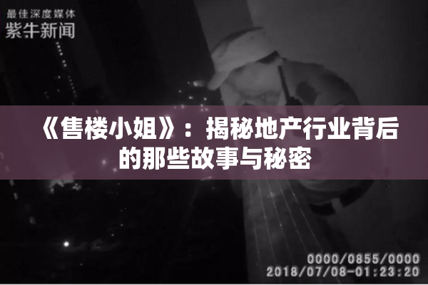 《售楼小姐》：揭秘地产行业背后的那些故事与秘密