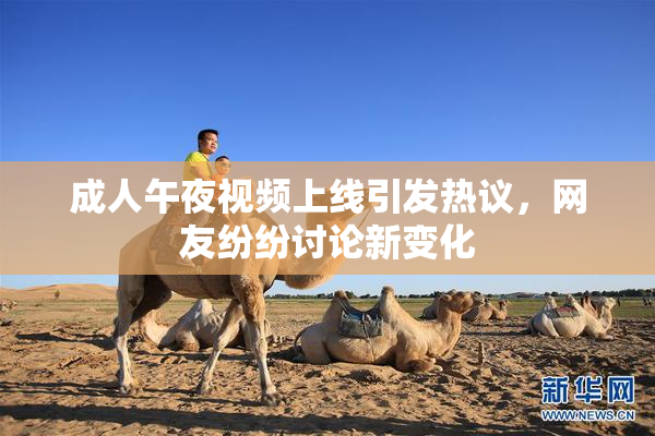 成人午夜视频上线引发热议，网友纷纷讨论新变化