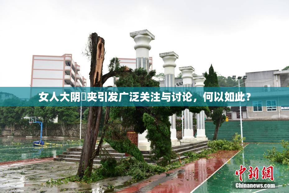 女人大阴脣夹引发广泛关注与讨论，何以如此？